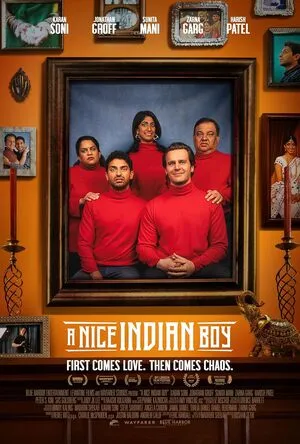 A Nice Indian Boy 2025 Hindi Dual Audio HD Poster Download - filmyfly