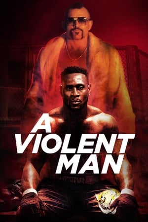 A Violent Man 2017 Hindi Dual Audio 330MB HD Poster Download - filmyfly