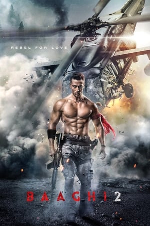 Baaghi 2 2018 Movie [1.4GB] HD Poster Download - filmyfly