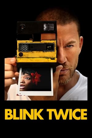 Blink Twice 2024 Hindi Dual Audio HD Poster Download - filmyfly