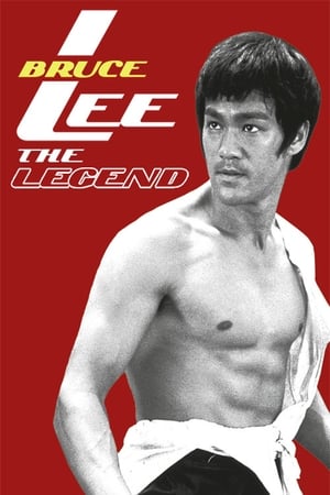 Bruce Lee the Legend 1984 Hindi Dual Audio HDTVRip [1GB] HD Poster Download - filmyfly