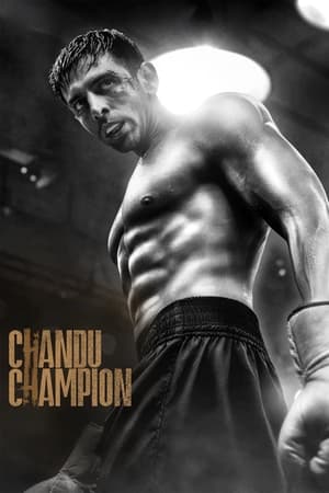 Chandu Champion 2024 Hindi HD Poster Download - filmyfly
