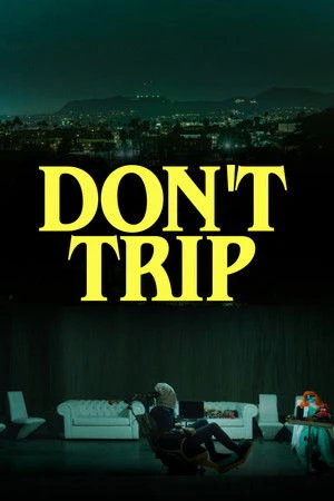 Don't Trip (2025) Hindi (MULTI AUDIO) – – HD Poster Download - filmyfly