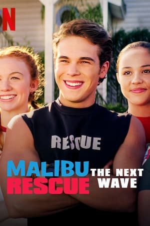 Malibu Rescue: The Next Wave (2020) Hindi Dual Audio 230MB HD Poster Download - filmyfly