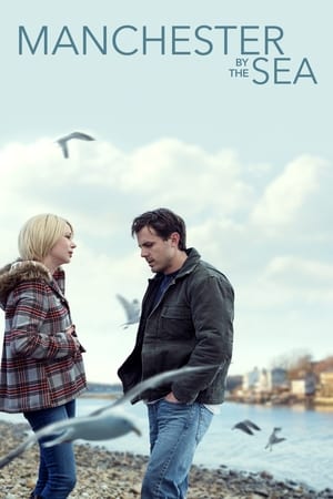 Manchester by the Sea 2016 Hindi Dual Audio [1.3GB] HD Poster Download - filmyfly
