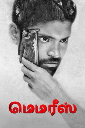 Memories 2023 Hindi Dual Audio HD Poster Download - filmyfly