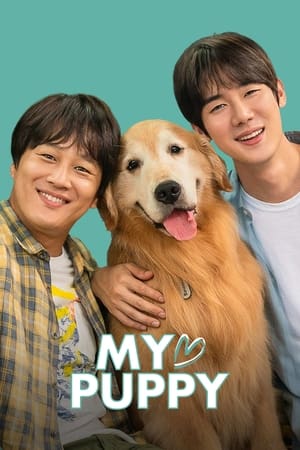 My love puppy (2022) Hindi Dual Audio – HD Poster Download - filmyfly