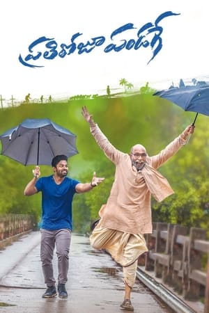 Prati Roju Pandage (Har Din Diwali) (2019) Hindi Dubbed 400MB HD Poster Download - filmyfly