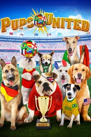 Pups United 2015 Hindi Dual Audio 300MB HD Poster Download - filmyfly
