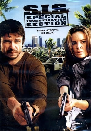 SIS Special Investigation Section 2008 Hindi Dual Audio 270MB HD Poster Download - filmyfly