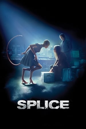 Splice 2009 Hindi Dual Audio [1.3GB] HD Poster Download - filmyfly