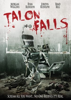 Talon Falls (2017) Hindi Dual Audio 300MB HD Poster Download - filmyfly