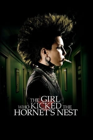 The Girl Who Kicked the Hornet's Nest (2009) Hindi Dual Audio 450MB HD Poster Download - filmyfly