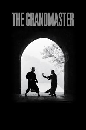 The Grandmaster (2013) Hindi Dual Audio [1GB] ESubs HD Poster Download - filmyfly