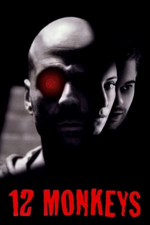 Twelve Monkeys (1995) Hindi Dual Audio 450MB HD Poster Download - filmyfly
