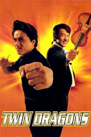 Twin Dragons (1992) 100mb Hindi Dual Audio movie Download HD Poster Download - filmyfly