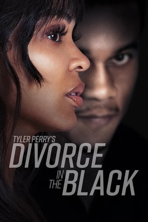 Tyler Perry’s Divorce in the Black (2024) Hindi Dual Audio – 720p – HD Poster Download - filmyfly