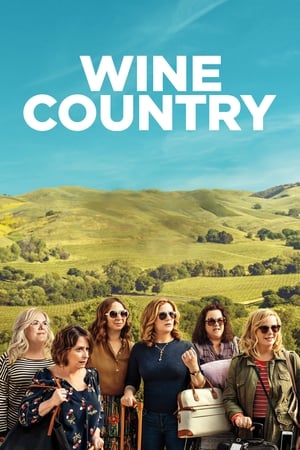 Wine Country (2019) Hindi Dual Audio [1GB] HD Poster Download - filmyfly