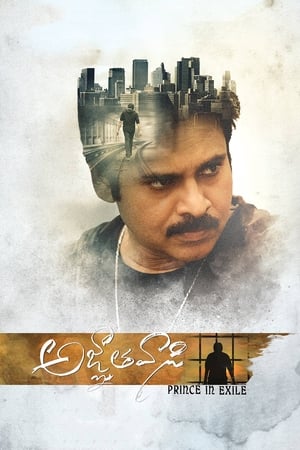 Yevadu 3 (Agnyaathavaasi) 2018 Movie Dual Audio Hindi [1.5GB] HD Poster Download - filmyfly